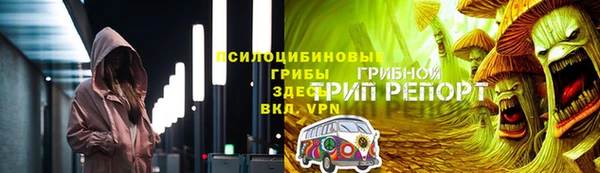 мдпв Горно-Алтайск