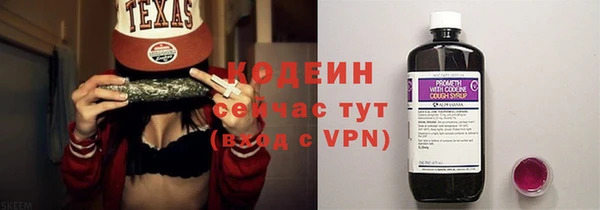 мдпв Горно-Алтайск