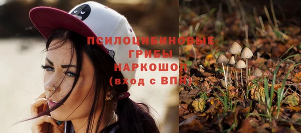 не бодяженный Горнозаводск