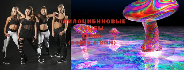 мдпв Горно-Алтайск
