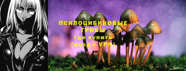 не бодяженный Горнозаводск