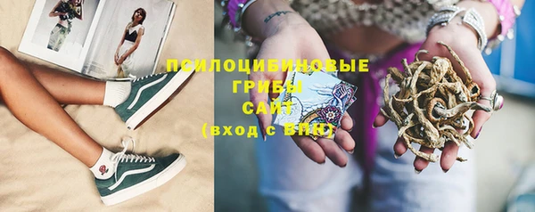 не бодяженный Горнозаводск